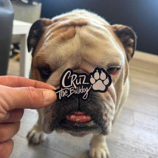 Cruz Signature Sticker